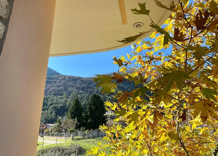 公寓 Lithotomia Mouzaki