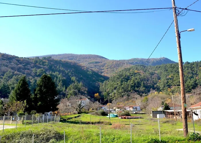 Lithotomia * Mouzaki